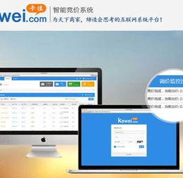 厦门二五八集团北京服务中心 智能竞价管理软件的定制与口碑之选